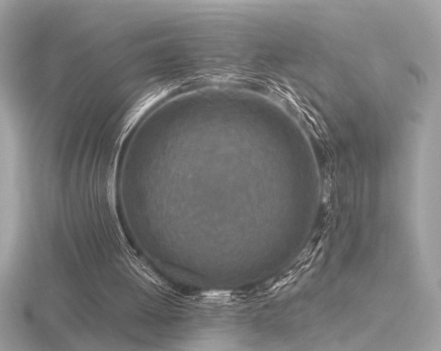 X0000116570052200912101519