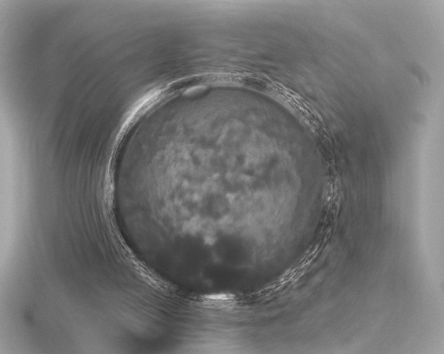 X0000116570053200912101519