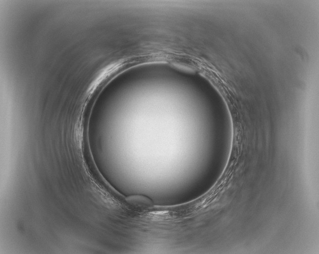 X0000116570054200912101519