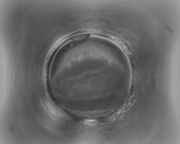 X0000116570055200912101519