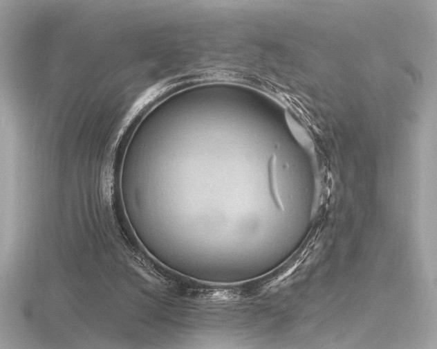 X0000116570056200912101519