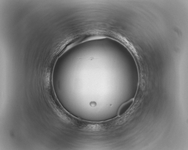 X0000116570057200912101519