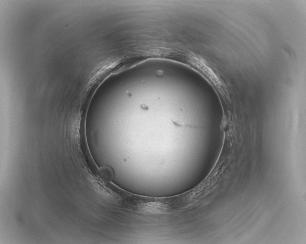 X0000116570058200912101519