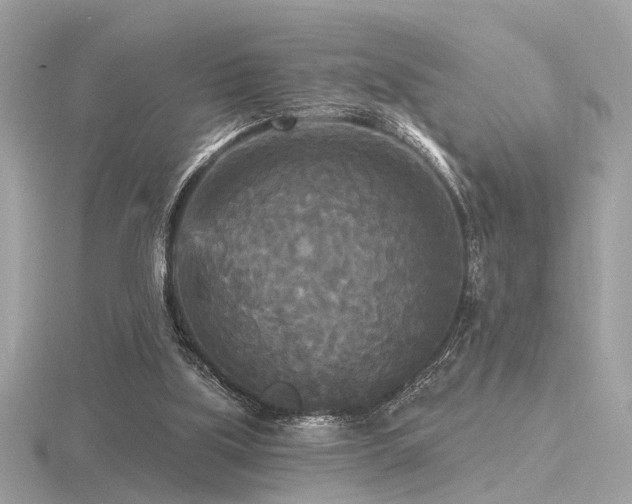 X0000116570059200912101519