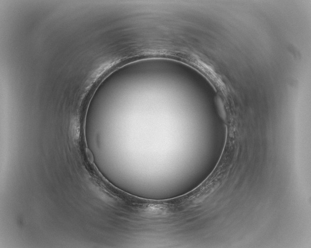 X0000116570060200912101519