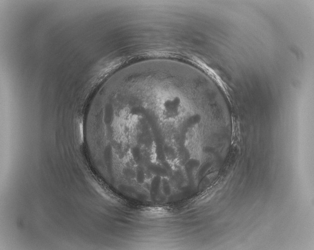 X0000116570061200912101519