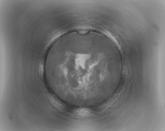 X0000116570063200912101519