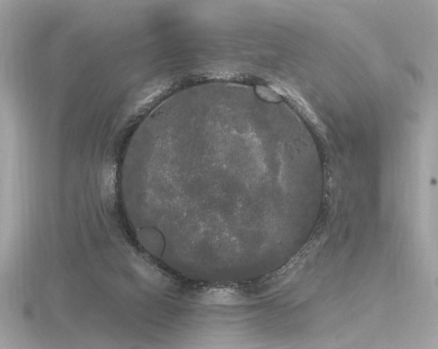 X0000116570066200912101519