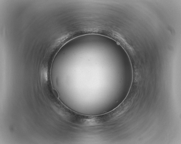 X0000116570068200912101519