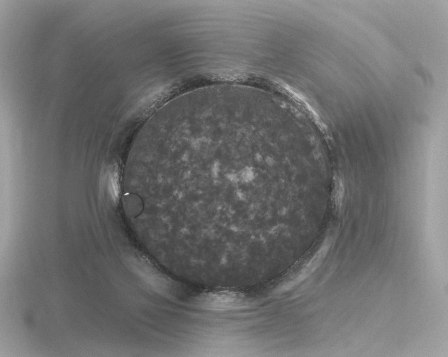 X0000116570069200912101519