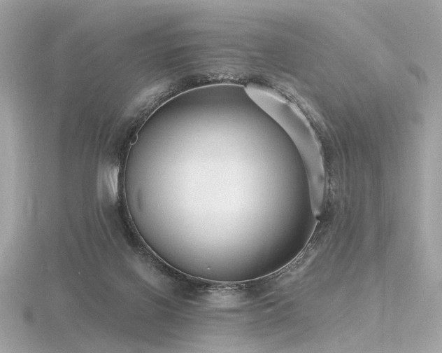 X0000116570070200912101519