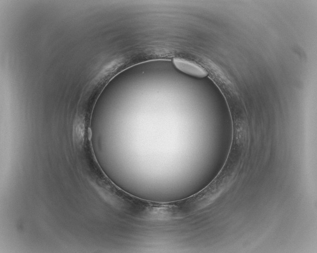 X0000116570072200912101519