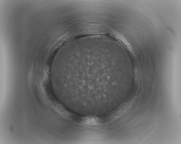 X0000116570073200912101519