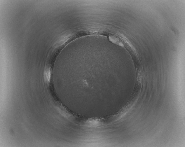 X0000116570076200912101519