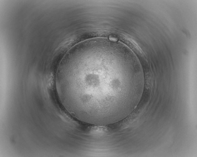 X0000116570077200912101519