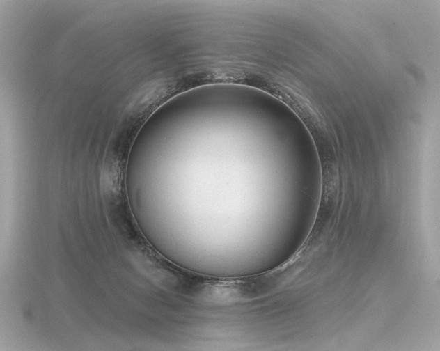 X0000116570078200912101519