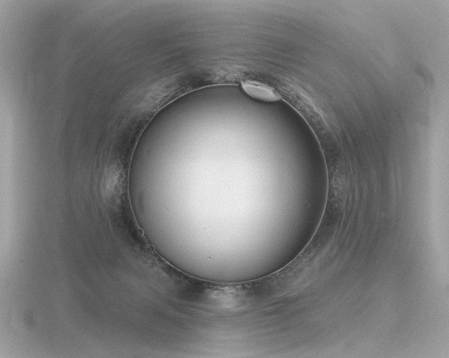 X0000116570079200912101519