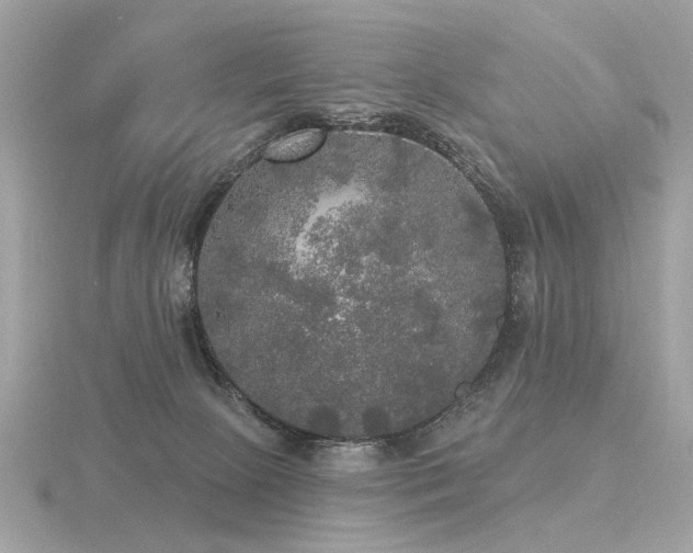 X0000116570081200912101519