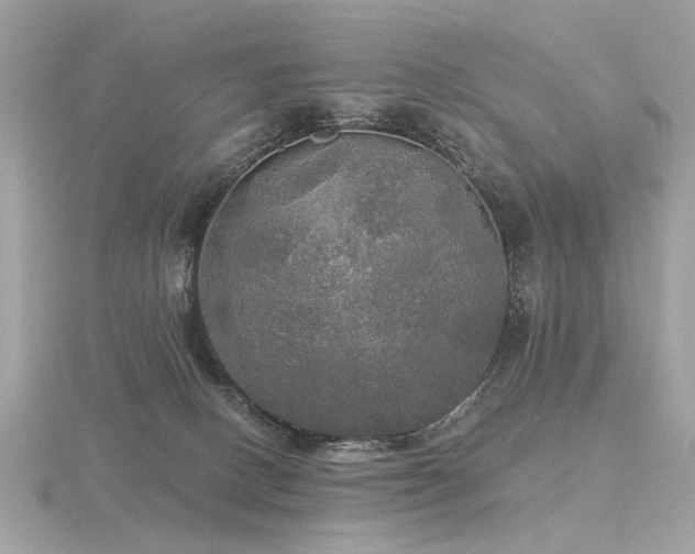 X0000116570082200912101519