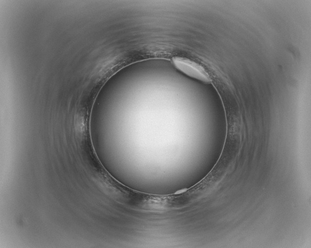 X0000116570084200912101519