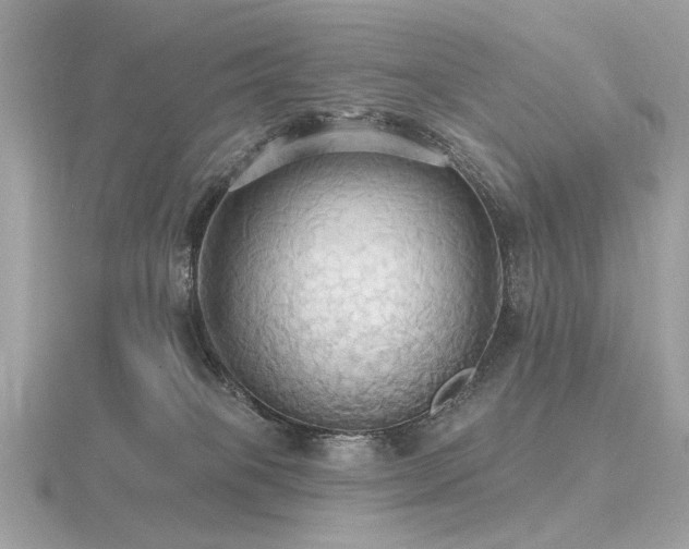 X0000116570085200912101519