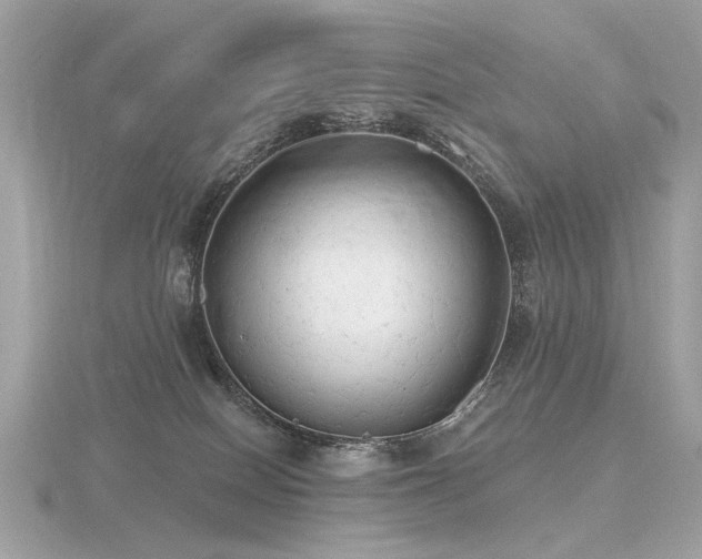 X0000116570086200912101519