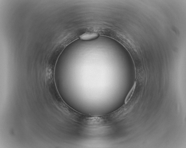 X0000116570087200912101519