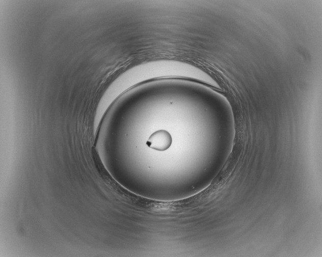 X0000116570088200912101519