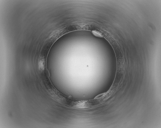 X0000116570090200912101519