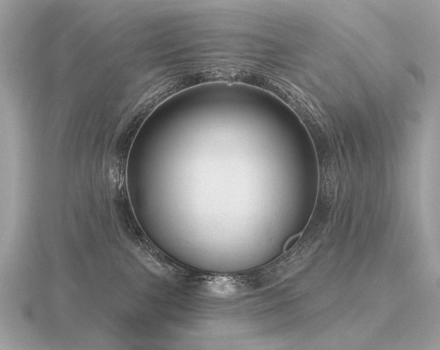 X0000116570091200912101519