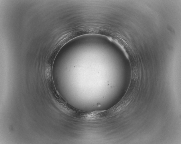 X0000116570092200912101519