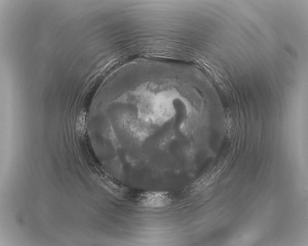 X0000116570093200912101519