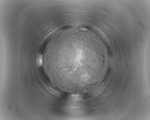 X0000116570095200912101519