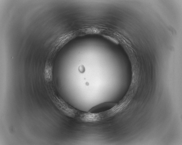 X0000116570096200912101519