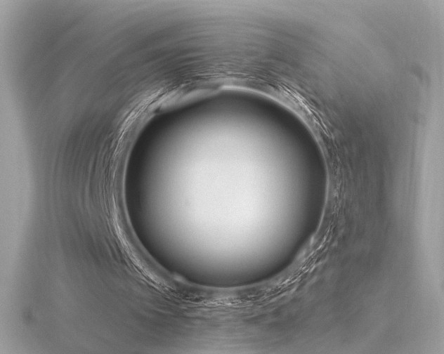 X0000116570097200912101519