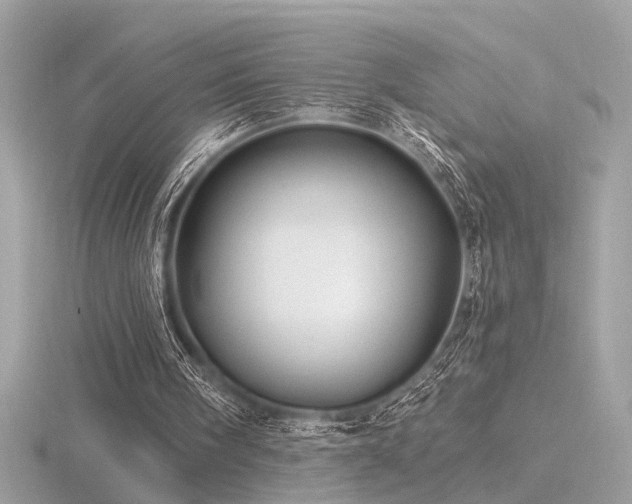 X0000116570098200912101519