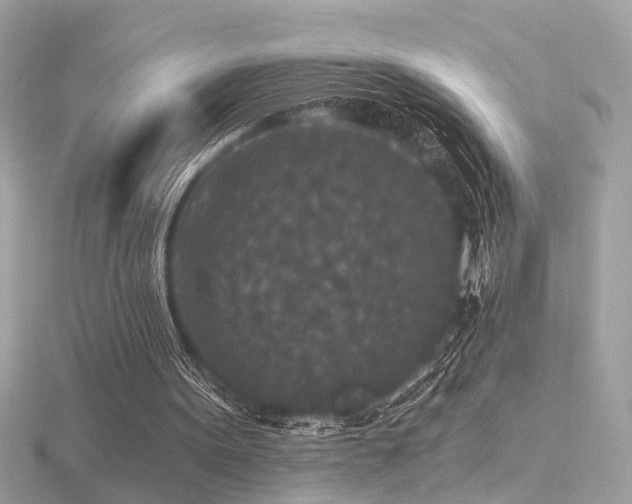 X0000116570099200912101519