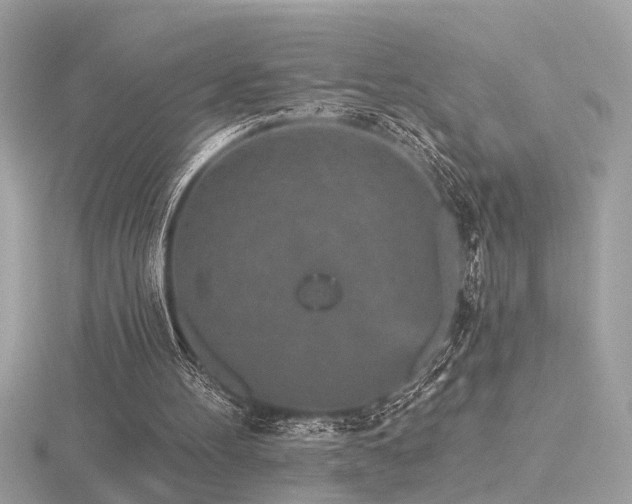 X0000116570100200912101519