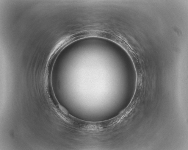 X0000116570101200912101519