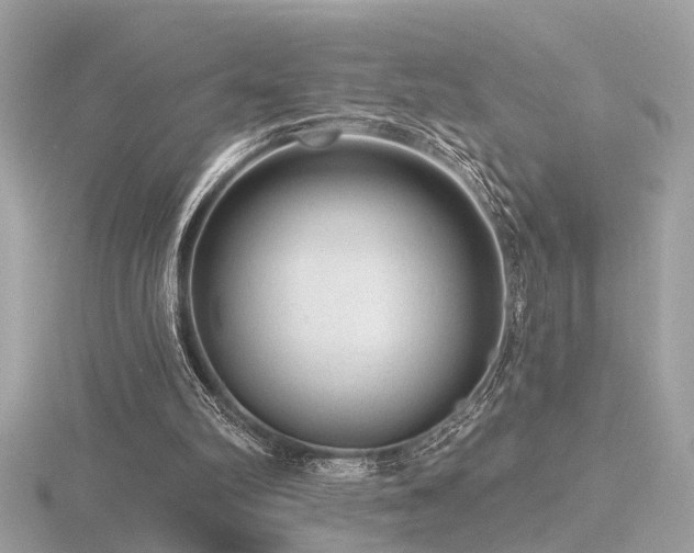 X0000116570102200912101519