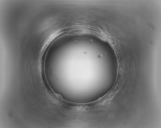 X0000116570103200912101519