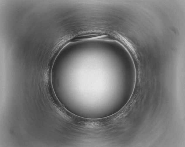 X0000116570105200912101519