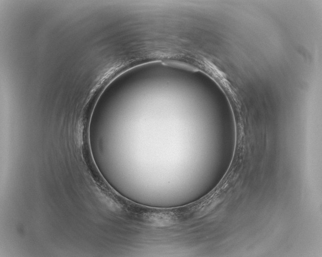 X0000116570106200912101519