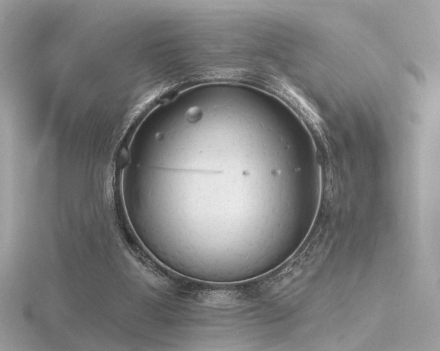 X0000116570107200912101519