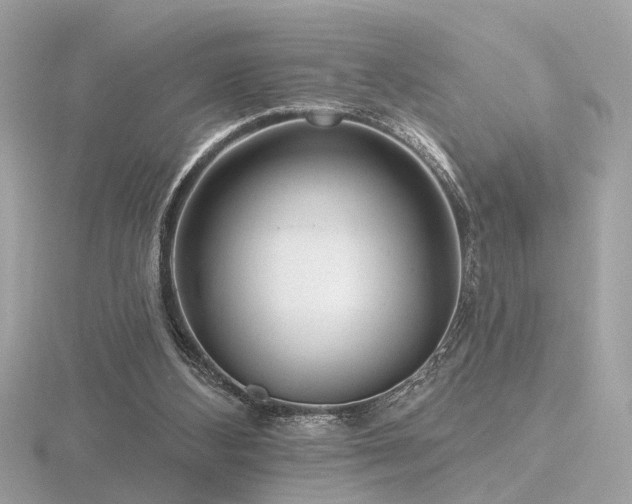 X0000116570108200912101519