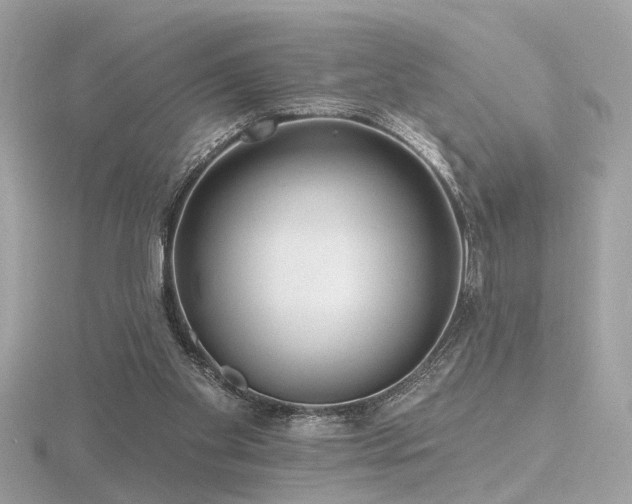 X0000116570109200912101519