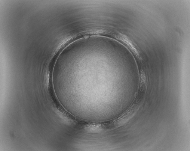 X0000116570110200912101519