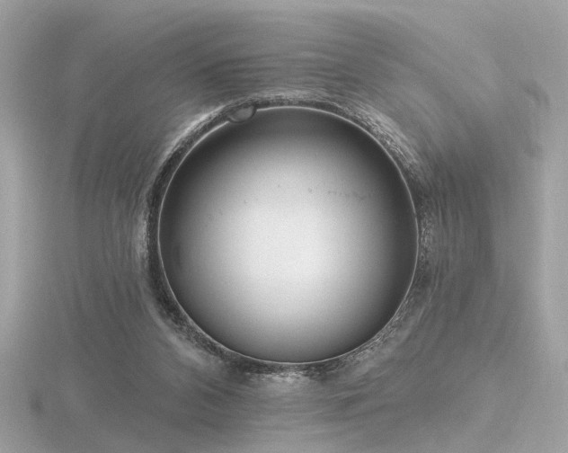 X0000116570112200912101519