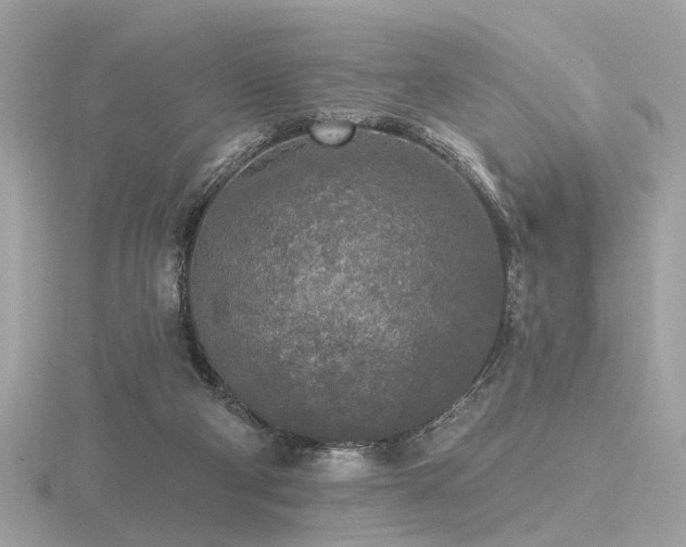 X0000116570114200912101519