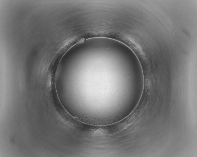 X0000116570115200912101519